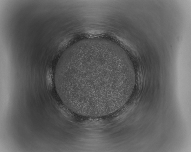 X0000112211346200908281451