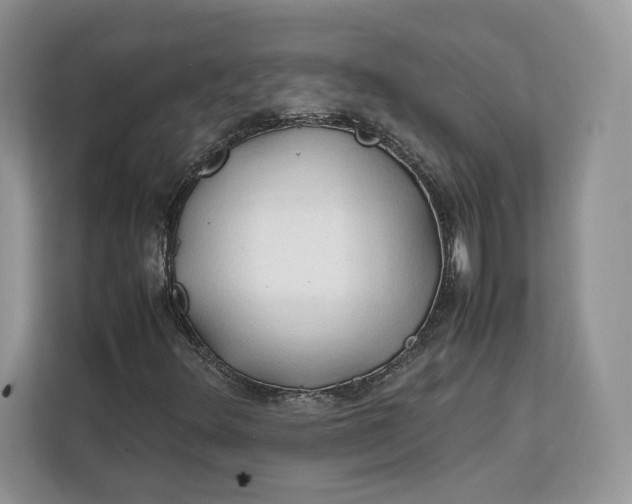 X0000112211348200908281451