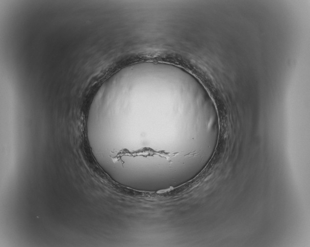 X0000112211349200908281451