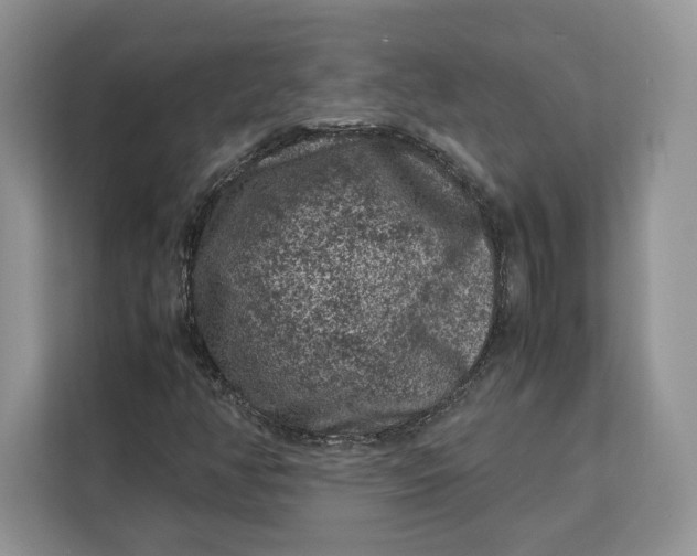 X0000112211350200908281451