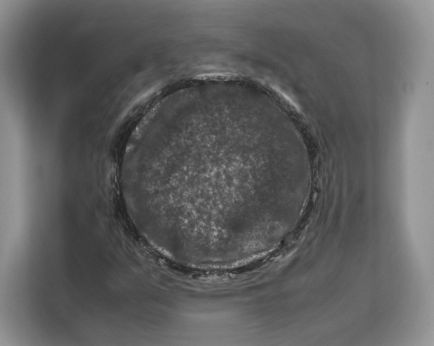 X0000112211351200908281451