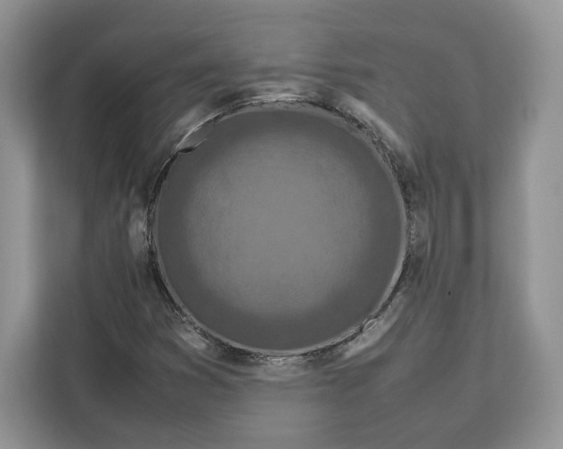 X0000112211353200908281451