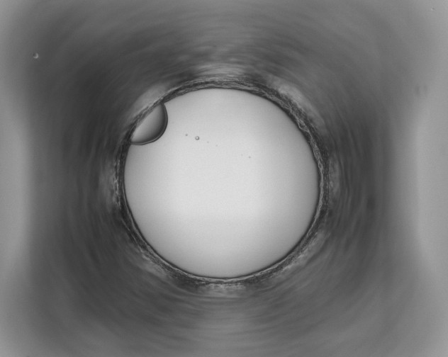 X0000112211354200908281451