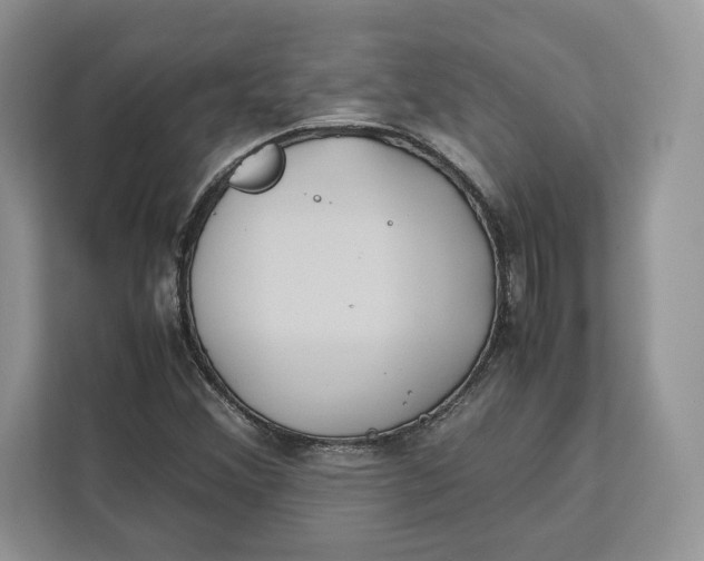 X0000112211356200908281451