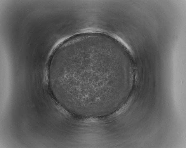 X0000112211358200908281451