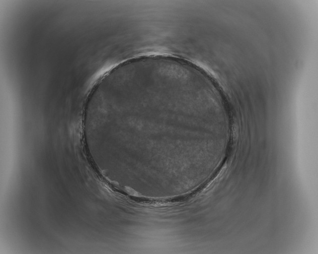 X0000112211359200908281451