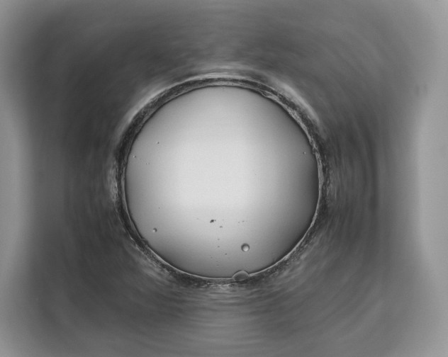 X0000112211360200908281451