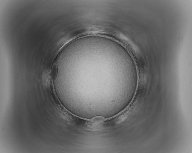 X0000112211361200908281451