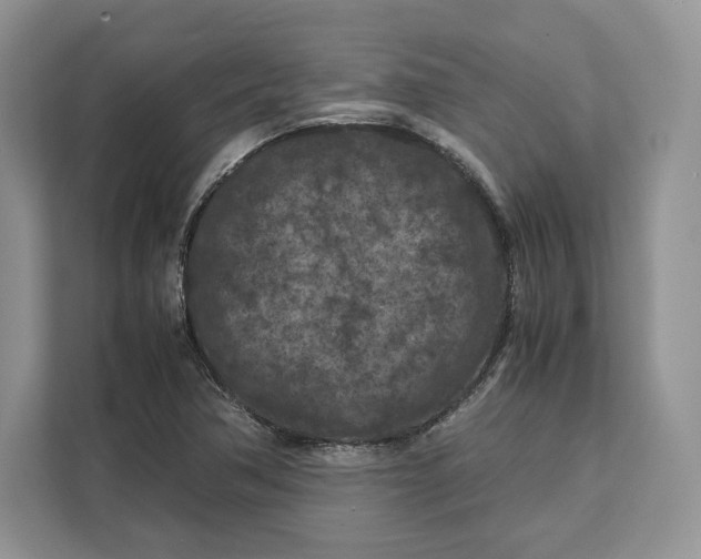 X0000112211362200908281451