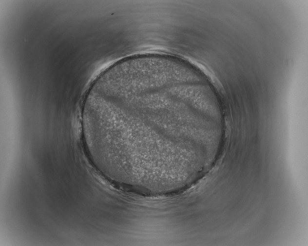 X0000112211363200908281451