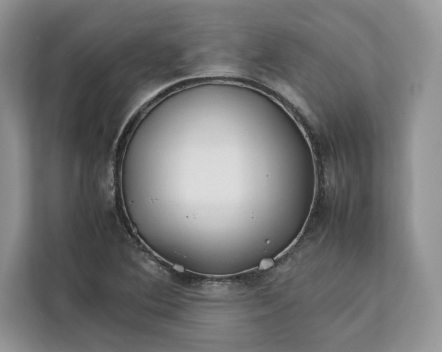 X0000112211364200908281451