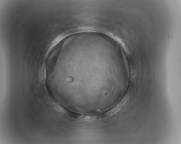 X0000112211365200908281451