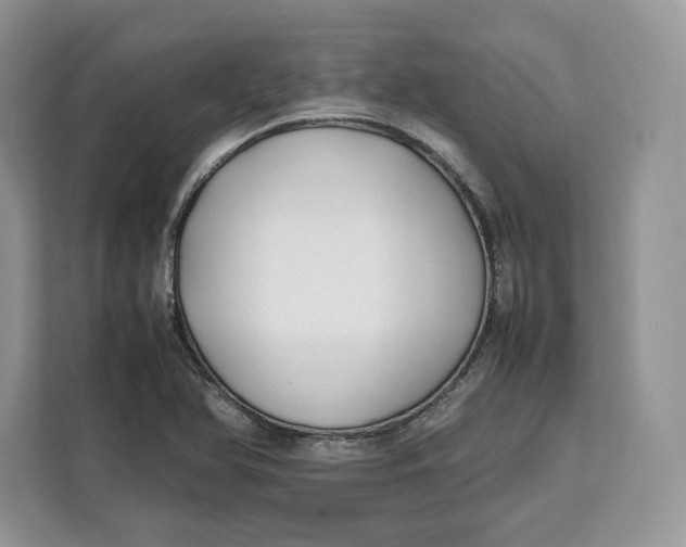 X0000112211366200908281451