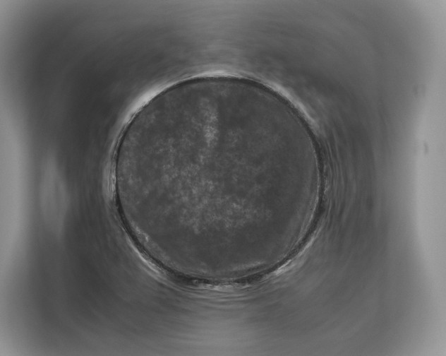 X0000112211367200908281451