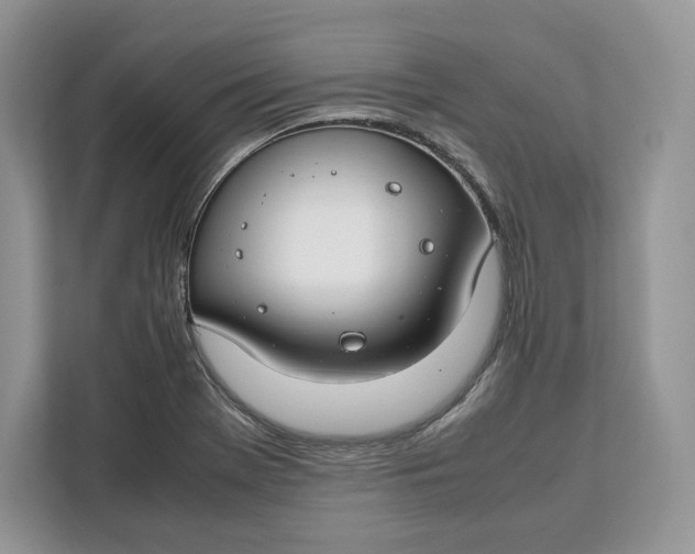 X0000112211369200908281451