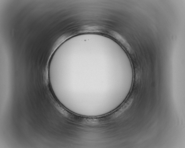 X0000112211370200908281451