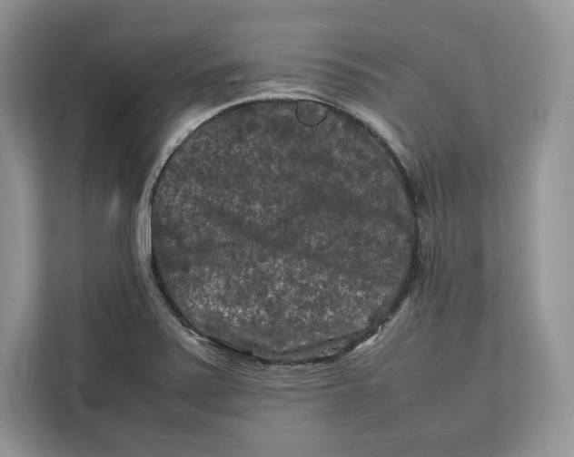 X0000112211371200908281451