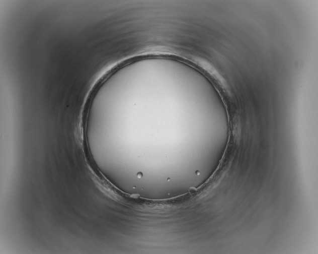 X0000112211372200908281451