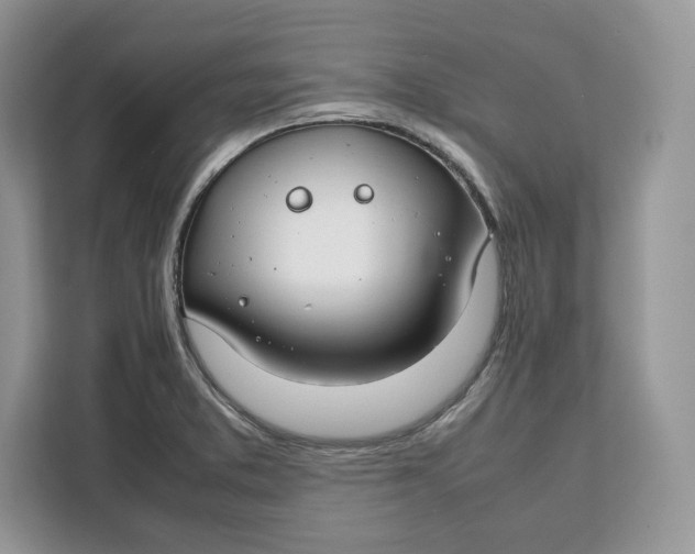 X0000112211373200908281451