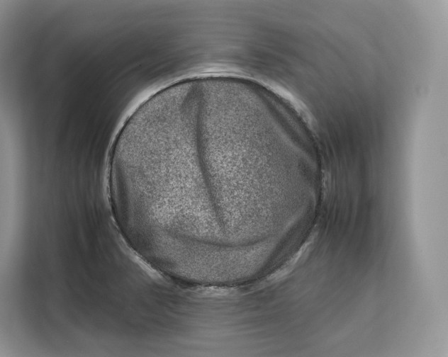 X0000112211374200908281451