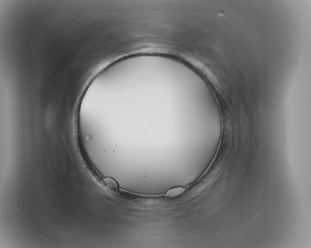 X0000112211375200908281451