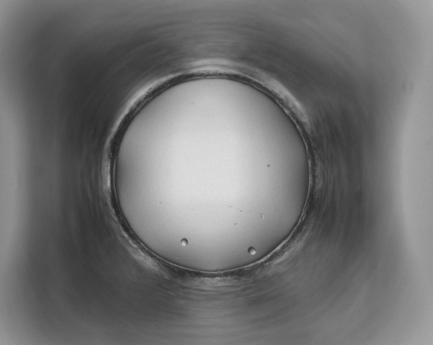 X0000112211376200908281451