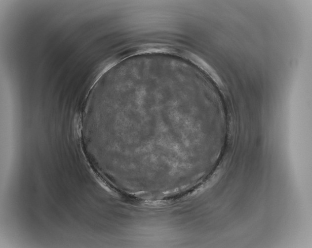 X0000112211377200908281451