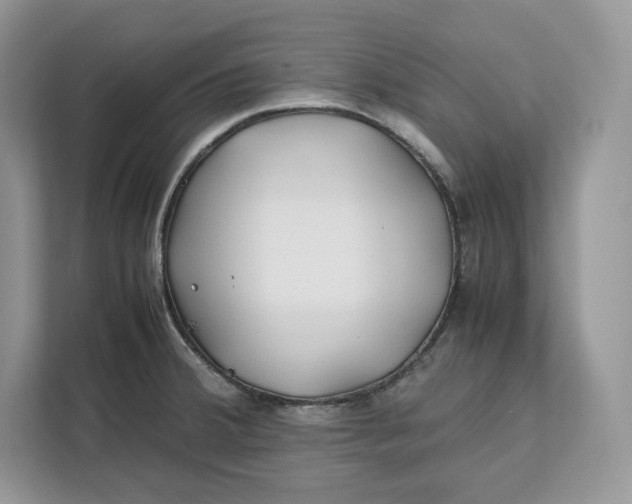 X0000112211380200908281451