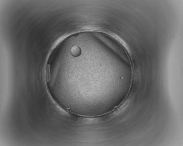 X0000112211381200908281451