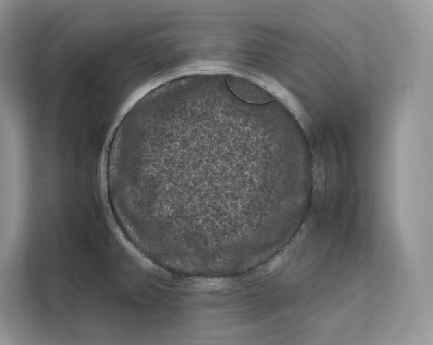 X0000112211382200908281451