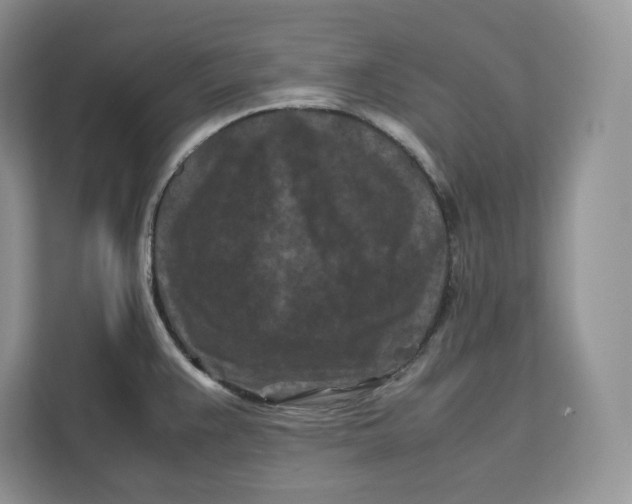 X0000112211383200908281451