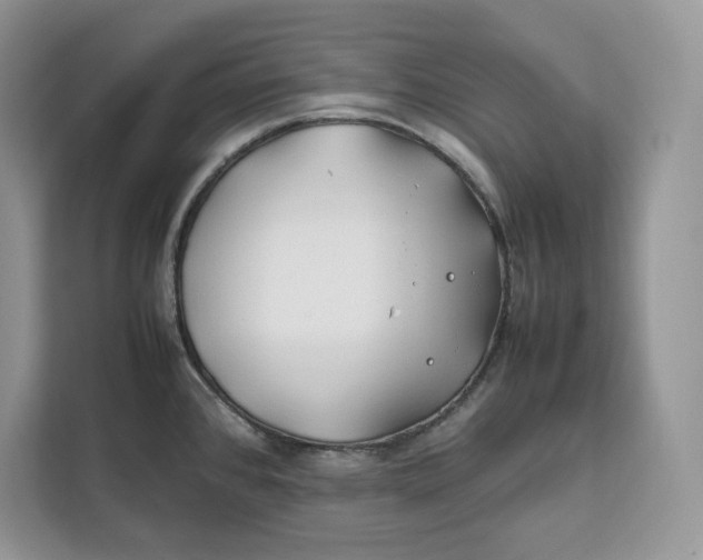 X0000112211384200908281451