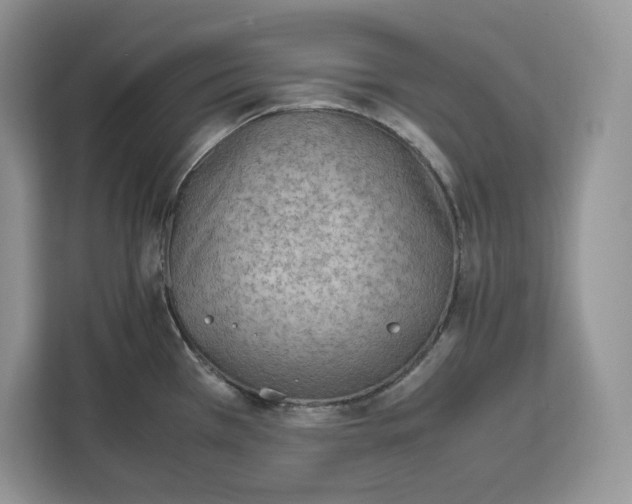 X0000112211385200908281451