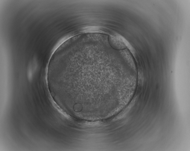 X0000112211386200908281451