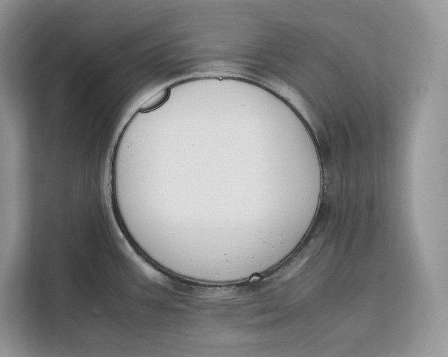 X0000112211387200908281451