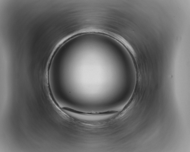 X0000112211388200908281451