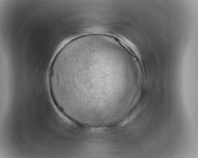 X0000112211389200908281451