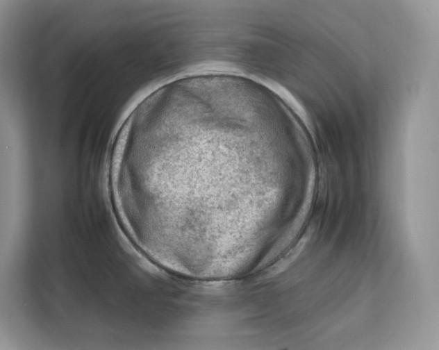 X0000112211390200908281451