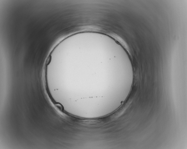 X0000112211391200908281451