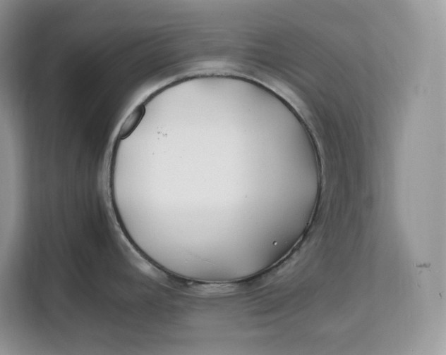 X0000112211392200908281451