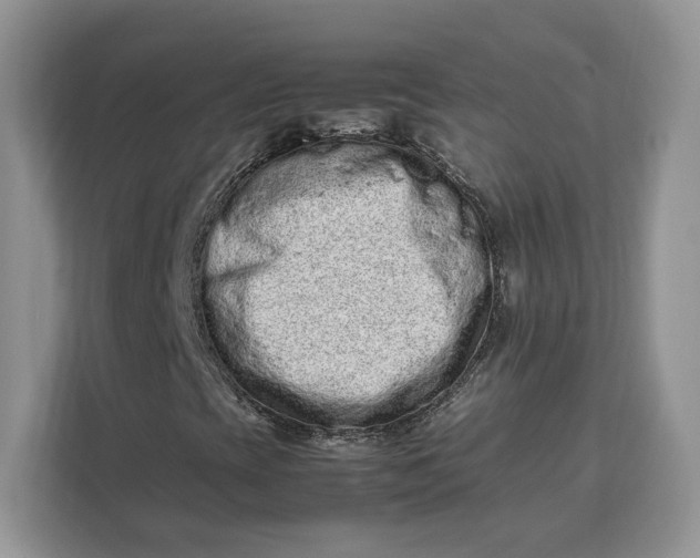 X0000112211393200908281450