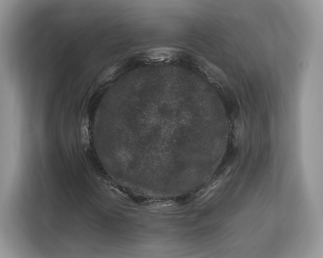 X0000112211394200908281450