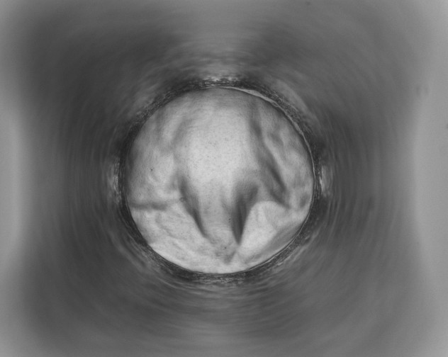 X0000112211396200908281450