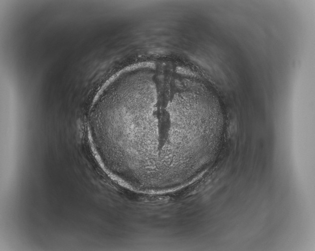 X0000112211397200908281450