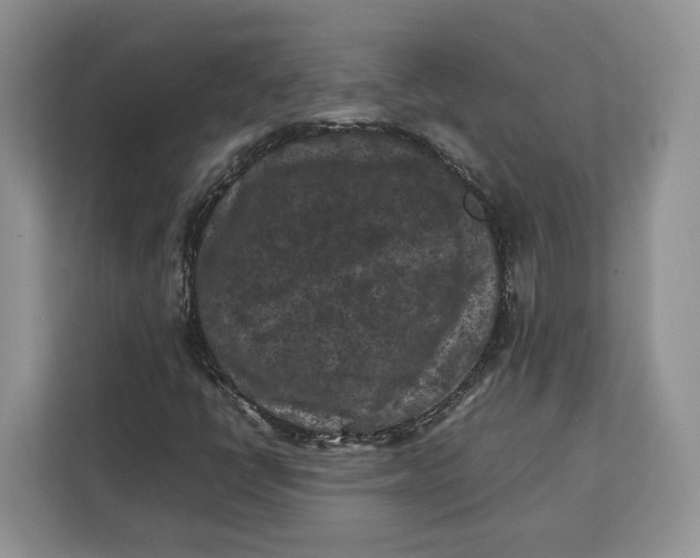 X0000112211398200908281450