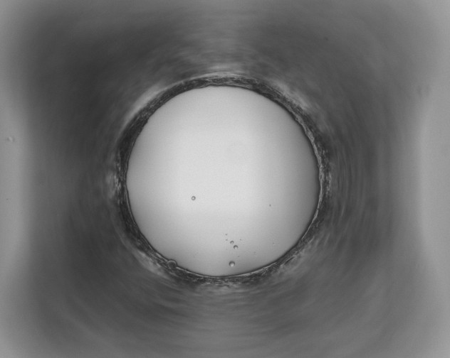 X0000112211400200908281450