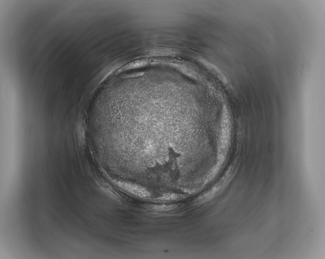 X0000112211401200908281450