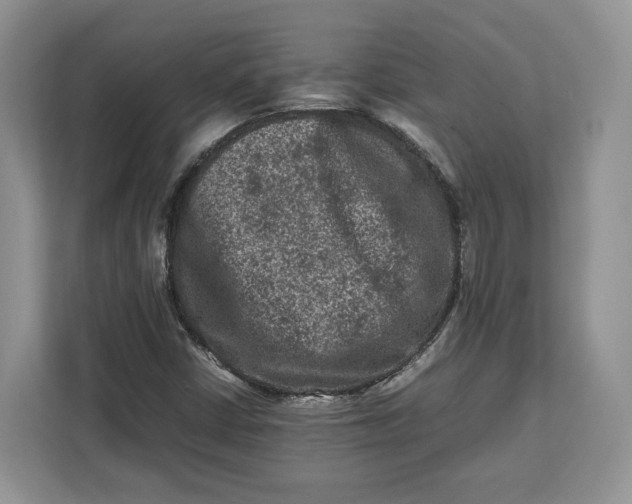 X0000112211402200908281450