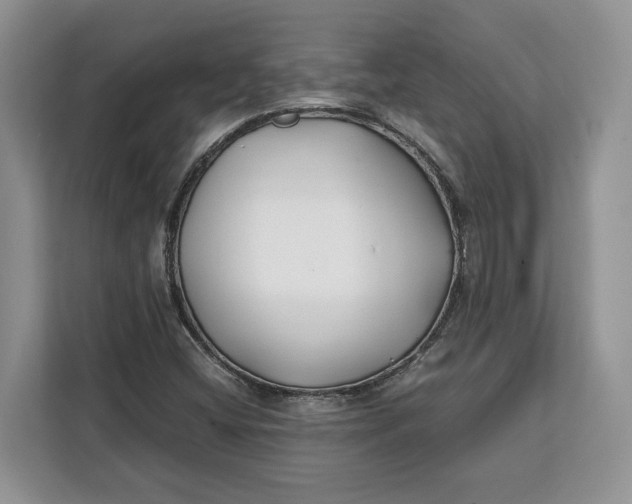 X0000112211404200908281450