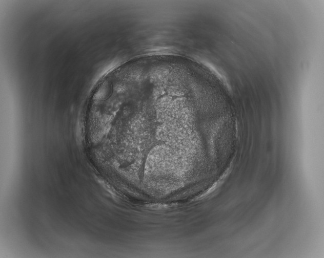 X0000112211405200908281450